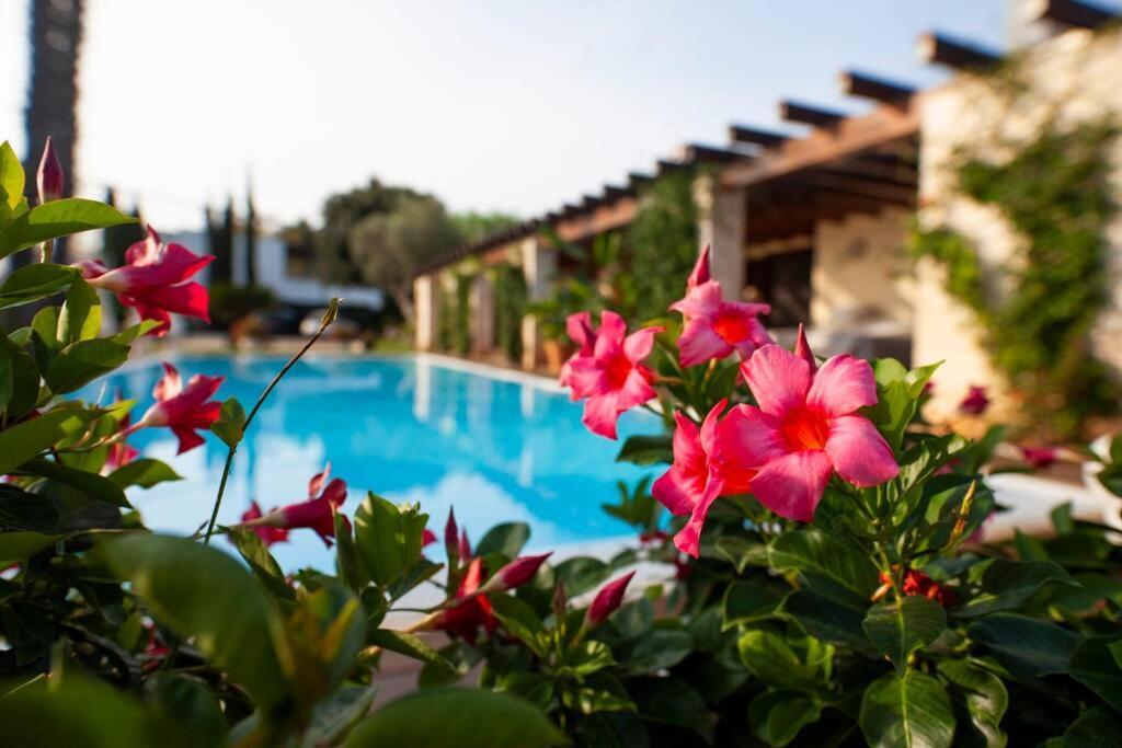 Spaziosa Villa Con Piscina E Giardino, פולינאנו א מארה מראה חיצוני תמונה