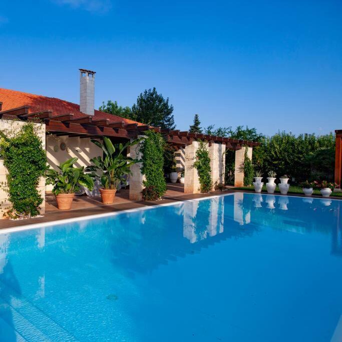 Spaziosa Villa Con Piscina E Giardino, פולינאנו א מארה מראה חיצוני תמונה